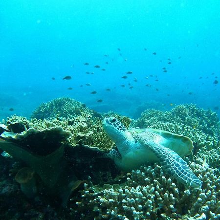 4 Sisters Divers Bunaken Eksteriør bilde