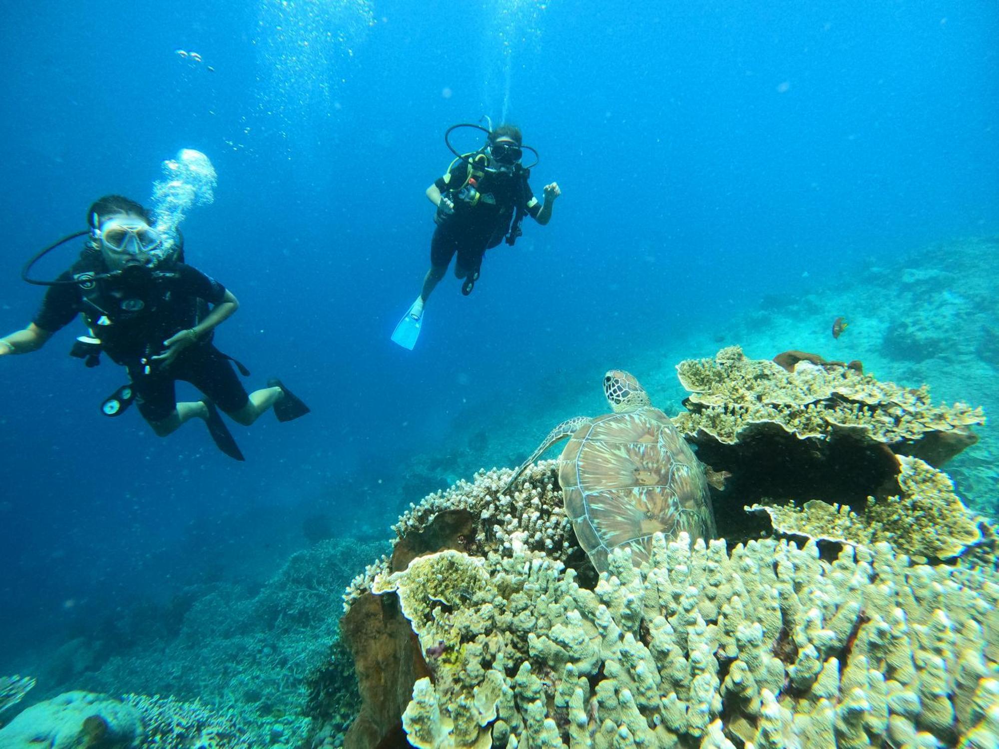 4 Sisters Divers Bunaken Eksteriør bilde