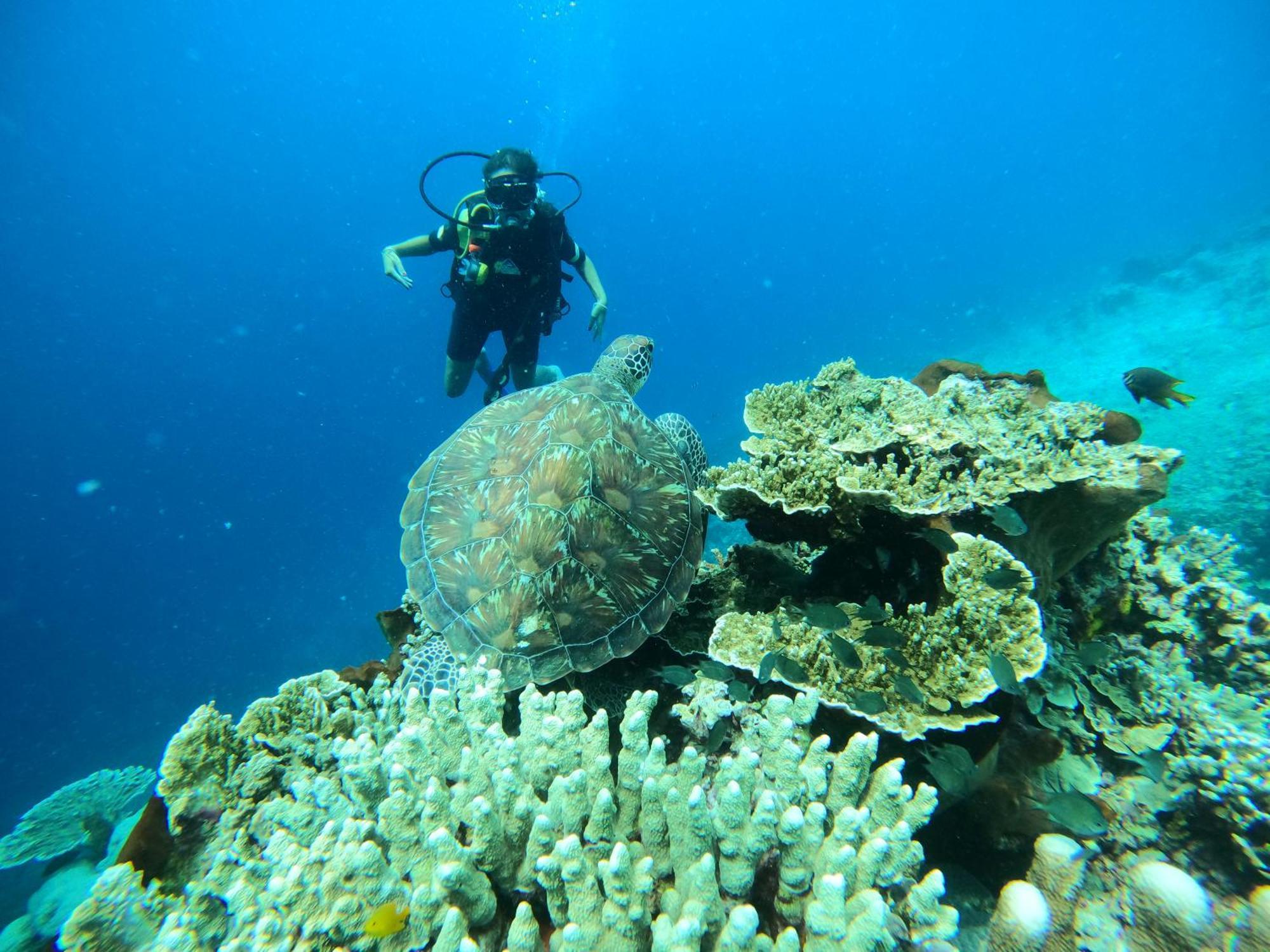4 Sisters Divers Bunaken Eksteriør bilde