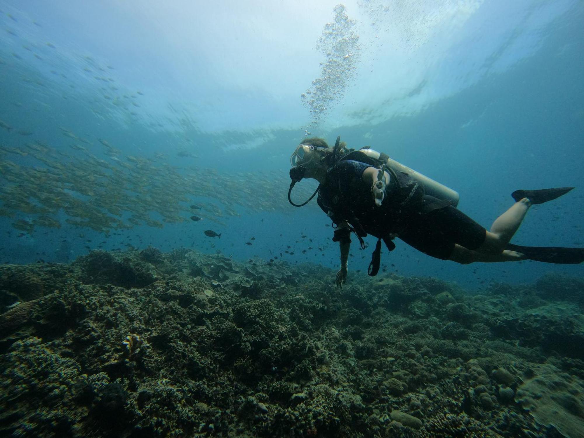4 Sisters Divers Bunaken Eksteriør bilde