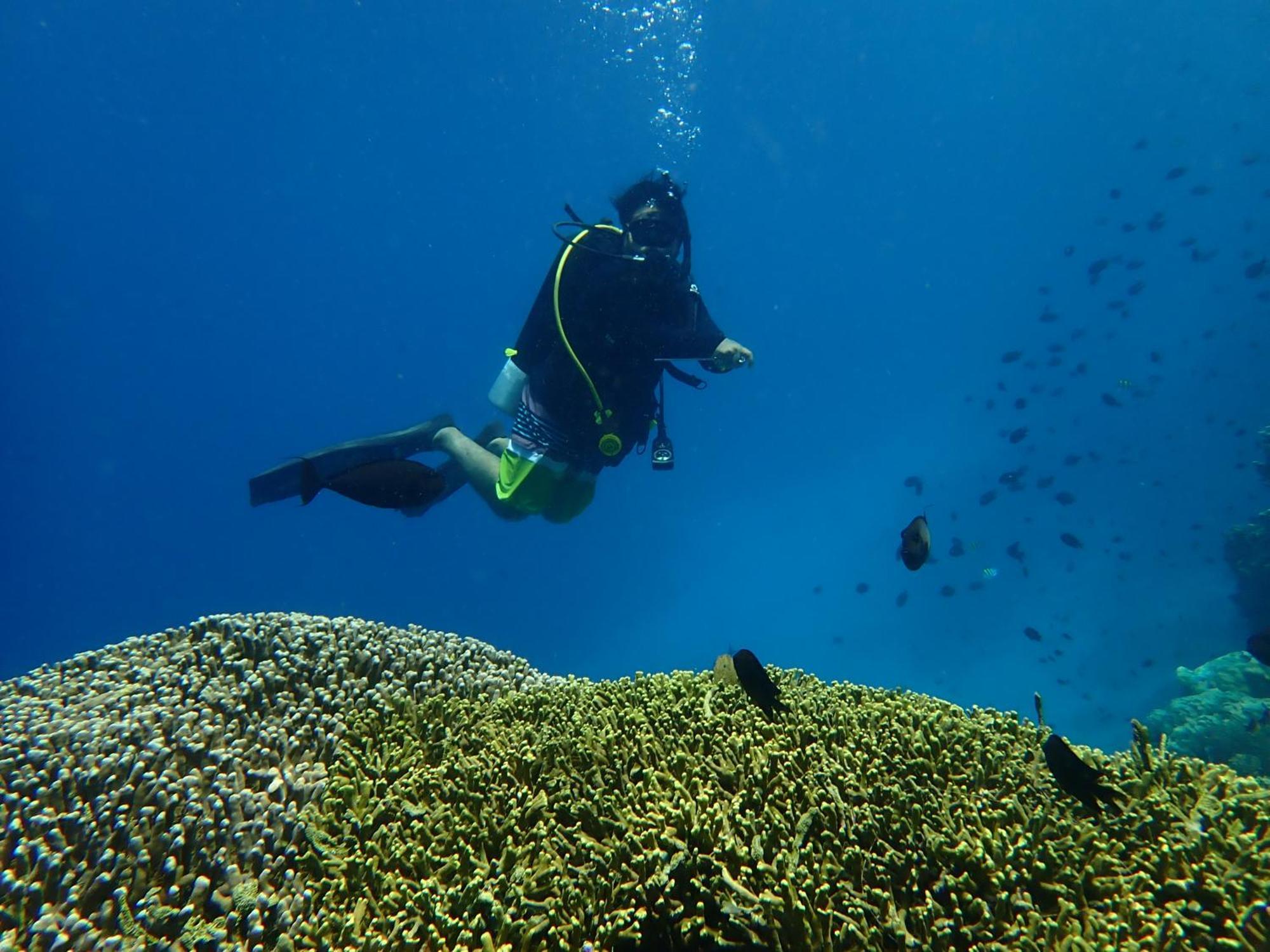 4 Sisters Divers Bunaken Eksteriør bilde